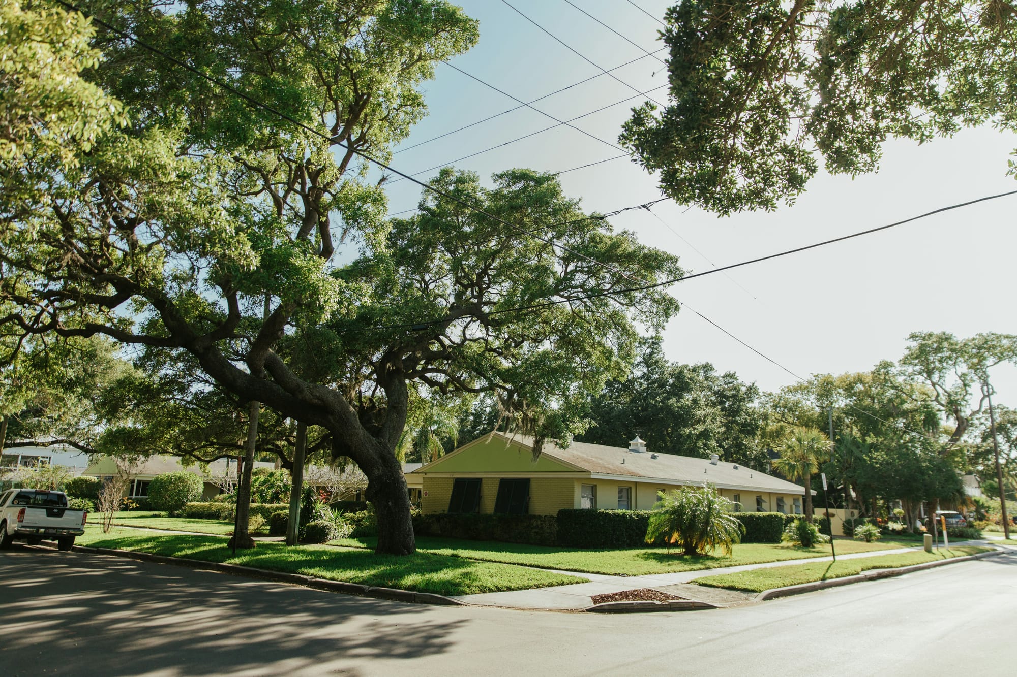 A quiet sunny neighborhood corner with a yellow house, large trees, and power lines overhead.