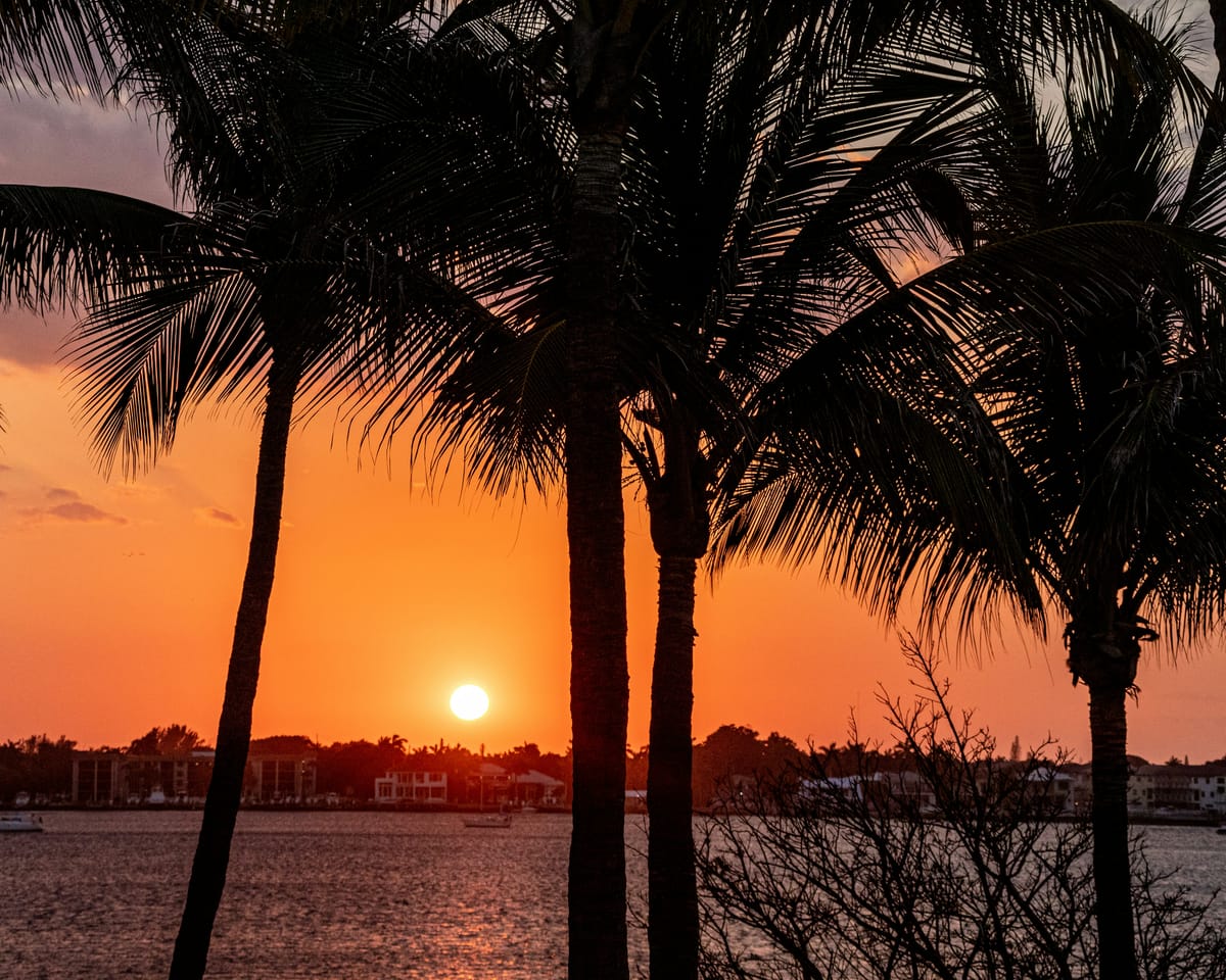 Hidden Gems Near Ocklawaha, Florida: Local Spots You’ll Love