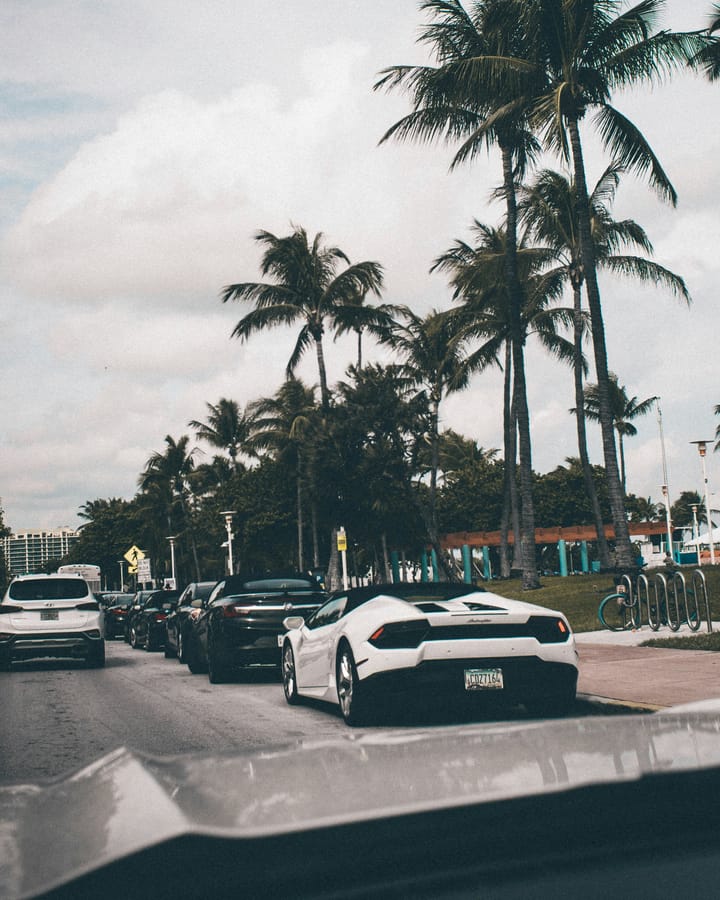 A palm-lined street with slow traffic and a white sports car parked up front.