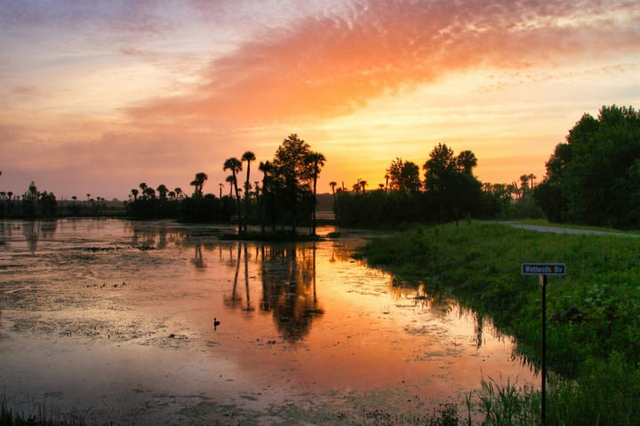 A fiery orange and pink sunset reflects over a calm Florida wetland, silhouetting palm trees along the bank.