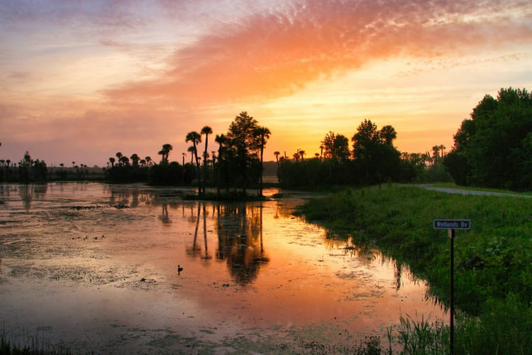 Is Now the Right Time to Buy or Sell in Hernando, FL?