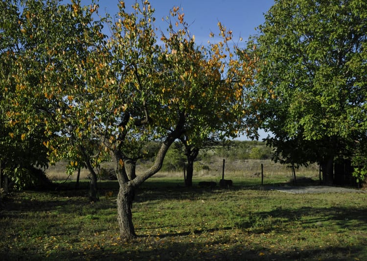 The Florida Towns Buyers Are Quietly Watching Right Now