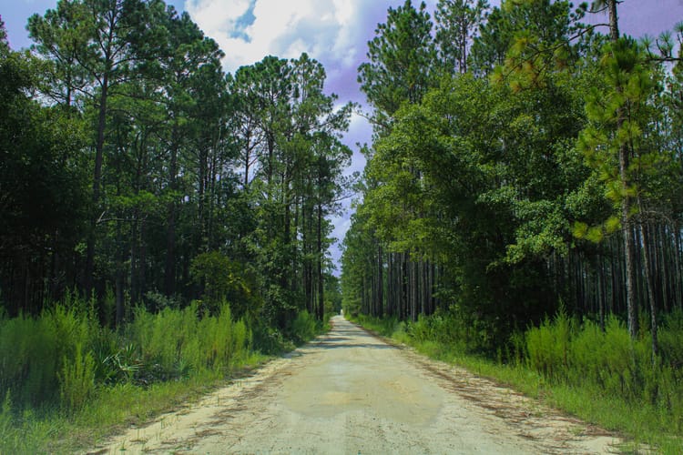 Buying a Home on a Dirt Road in Silver Springs, FL