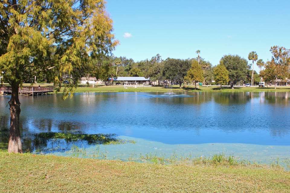 Belleview, FL - October 2025 Residential Market Update