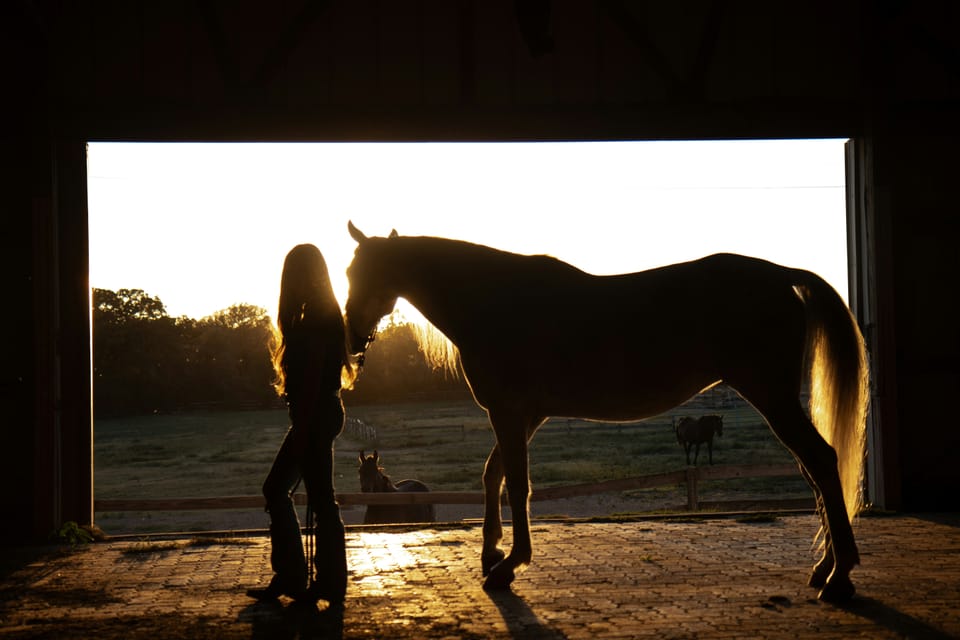 Ocala Real Estate: Where Equestrian Living Meets Diverse Homebuyers