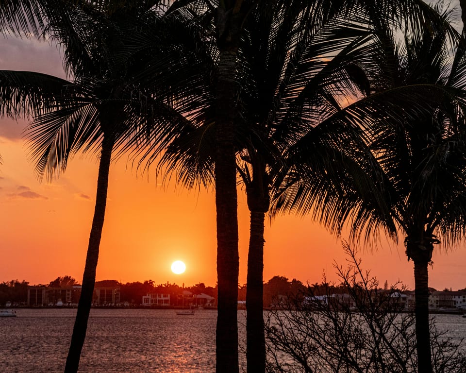 Hidden Gems Near Ocklawaha, Florida: Local Spots You’ll Love