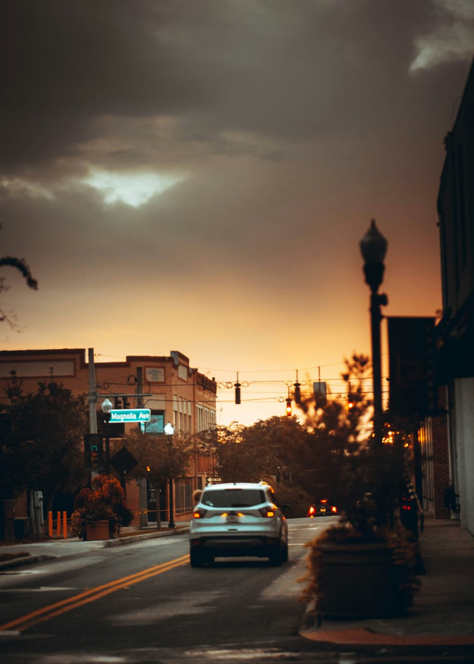 Ocala, Florida Is the #1 City in Florida for People Moving In — Here's Why Everyone Is Talking About It