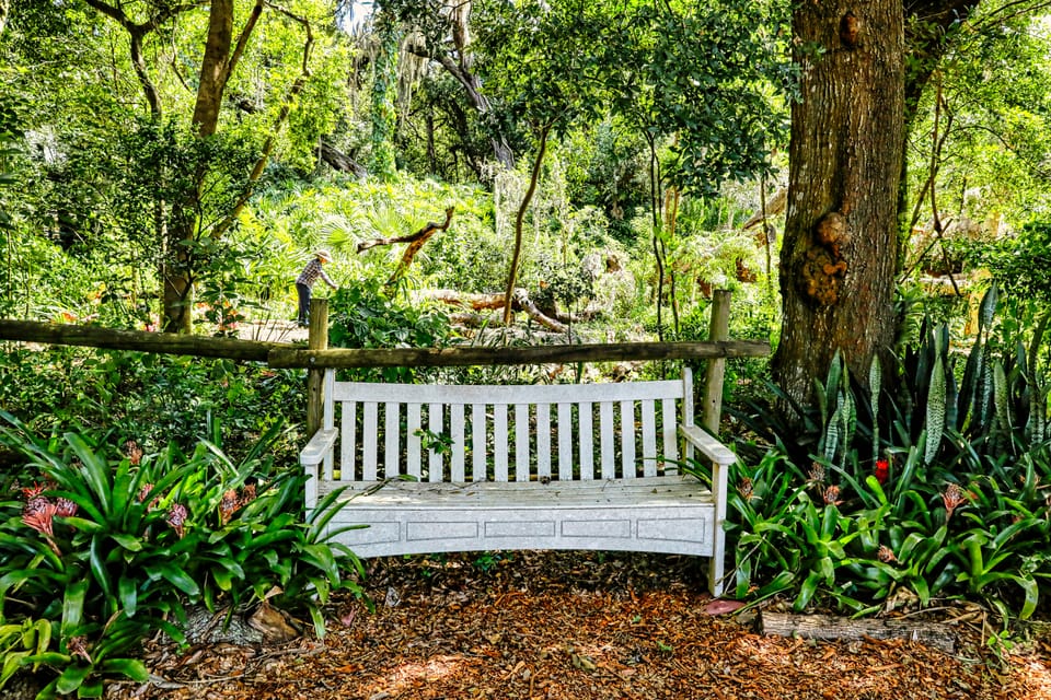 Are Home Prices Finally Stabilizing in Williston, Florida?