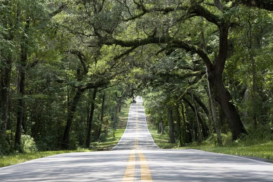 Why More People Are Leaving Big Cities for Small Florida Towns Like Ocklawaha