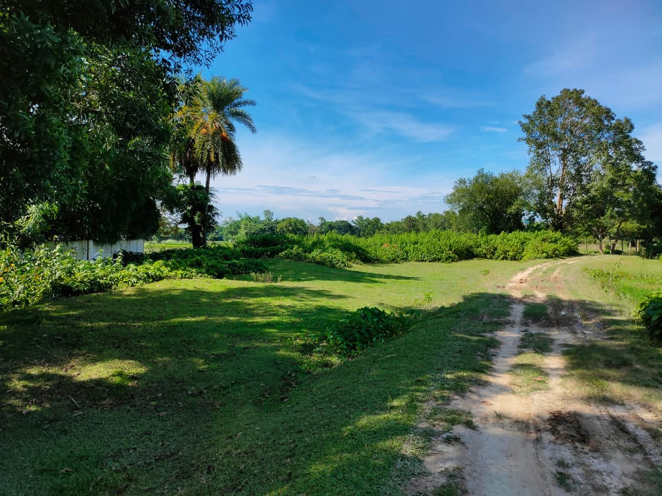Why Empty Lots in Ocala Are Becoming More Attractive to Buyers