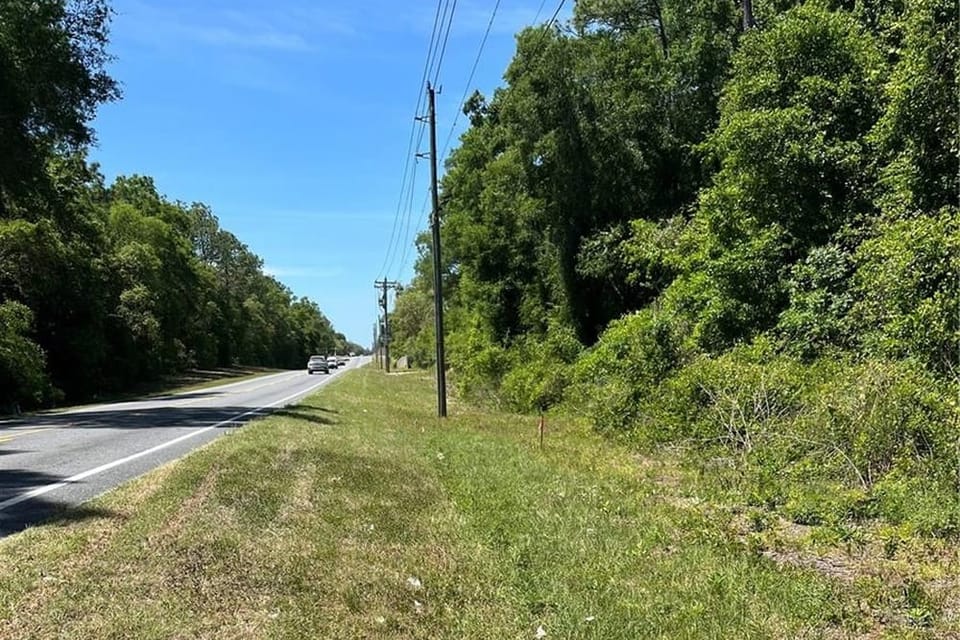Roadside view down a tree-lined two-lane highway, dense green trees on the right, grassy shoulder in front.